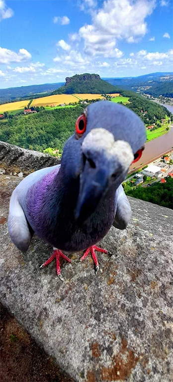 LVA-Graffitischutz_Referenzen_13